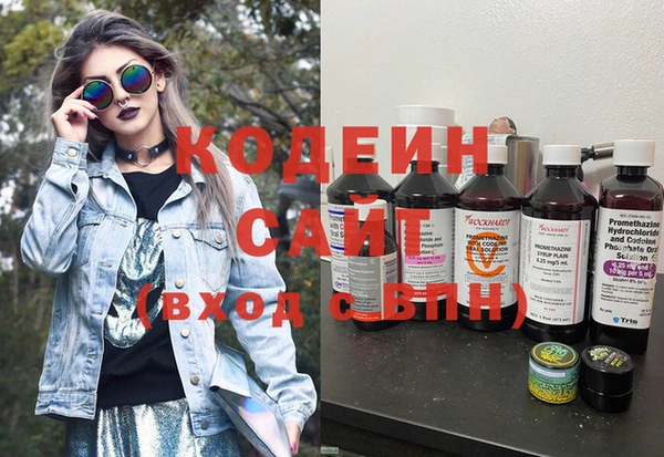 шишки Лиски