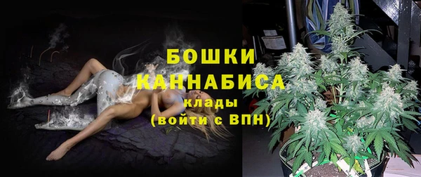 шишки Лиски