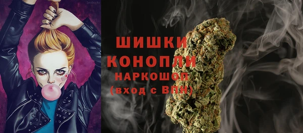 бошки Семилуки