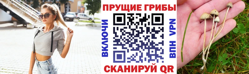 Галлюциногенные грибы мухоморы  закладка  Бердск 